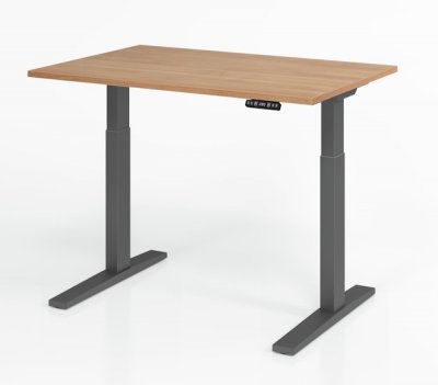Schreibtisch 120 x 80 cm elektrisch höhenverstellbar Gestell Grafit Tischplatte Nussbaum